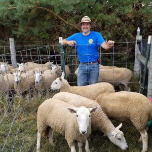 Happy Shepherd, Don, In The Set Out.