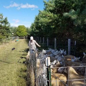 Leo & Nancy Loading The Set Out Pens.